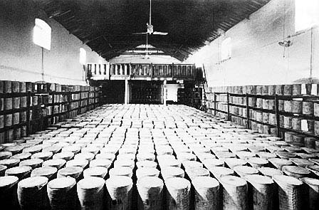 Cheese being stored at Crump and Way, Wells.