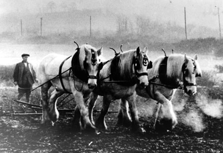 Ploughing team, c.1930.