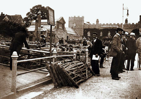 Taunton livestock market. The market took place on Castle Green, in front of the Somerset County Museum and behind the famous Clark’s hotel.