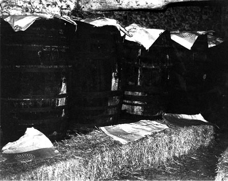 Cider barrels at Cuthbert Rose’s farm.