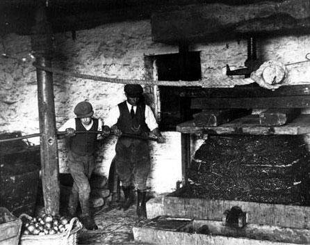 Two men pressing the ‘cheese’, early twentieth century.